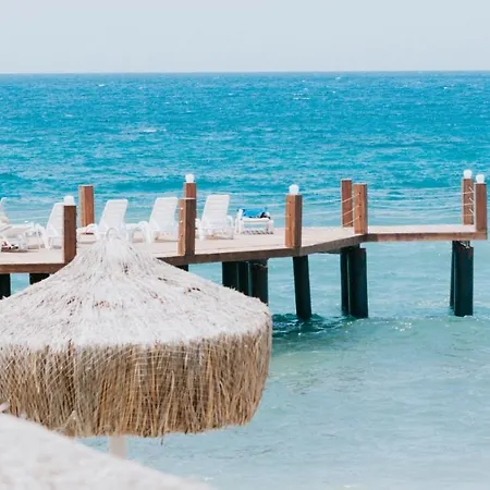 Faustina & 古泽尔坎里