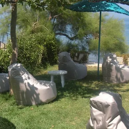 Faustina & Guzelcamlı