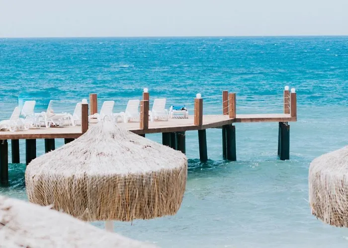 Faustina & 古泽尔坎里