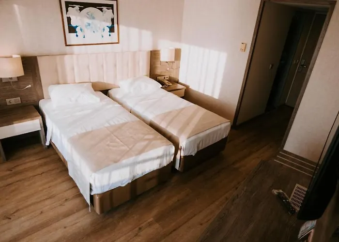 Faustina & 古泽尔坎里